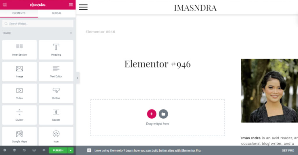 Cara Menggunakan Elementor di WordPress