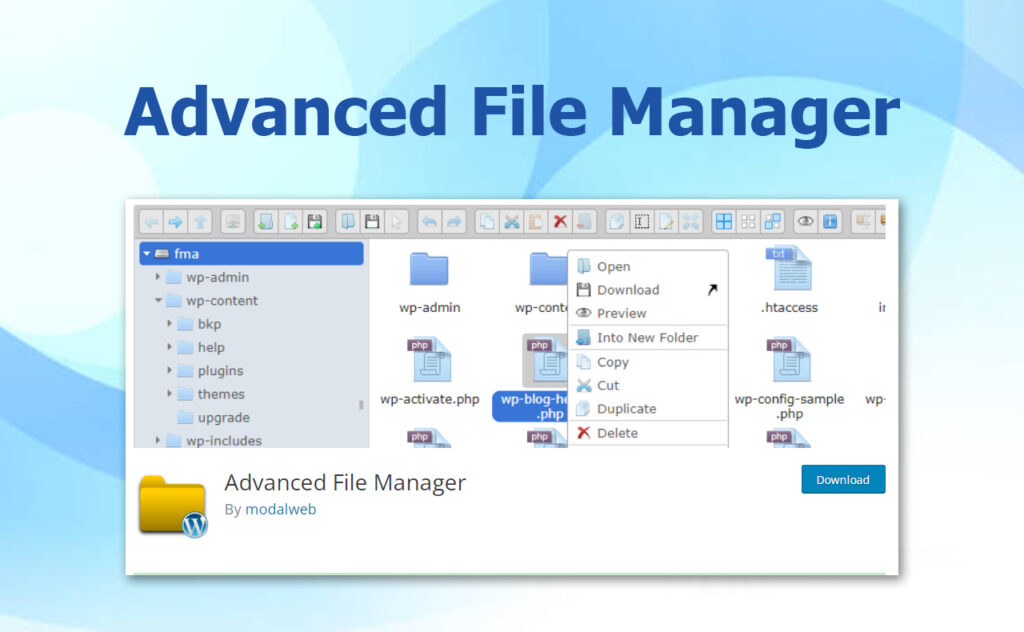 plugin download manager WordPress