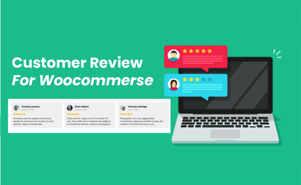 plugin review wordpress